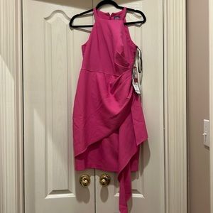 Vince Camuto Hot Pink Dress Soze 6P